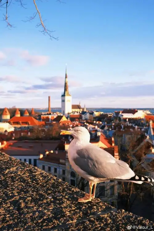 旅行見聞-亞太之聲電視台