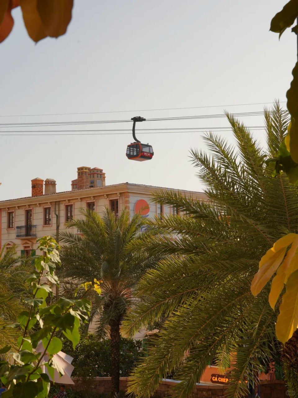 大美探海岛｜富国岛4天3夜躺平攻略✨ 免签直飞，带娃情侣双适配！
