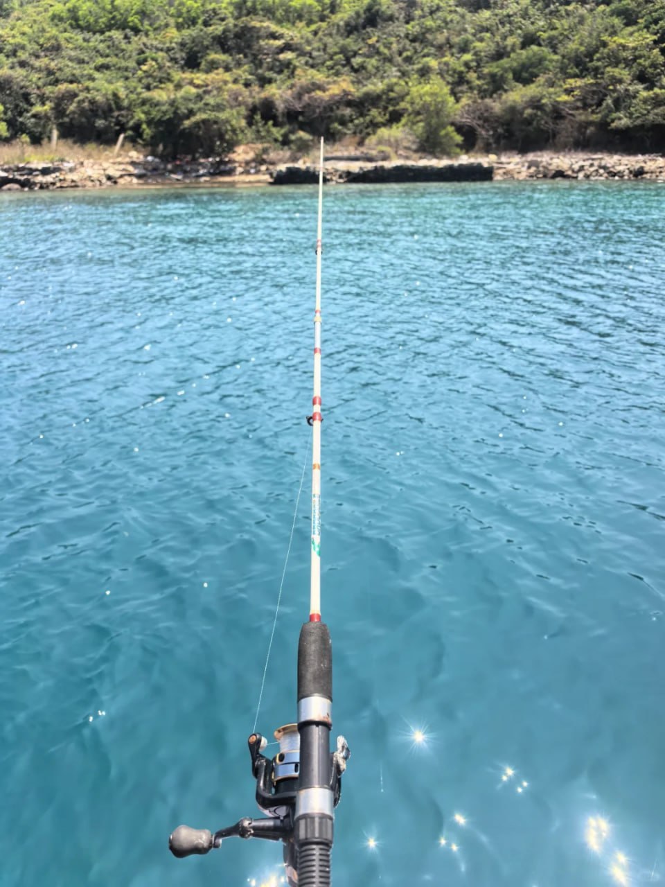 大美逛芽庄｜南洋无尽夏，被阳光海风焊在快乐里🌴