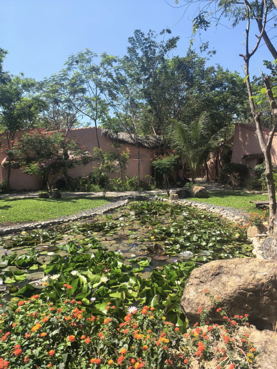 大美逛芽庄｜南洋无尽夏，被阳光海风焊在快乐里🌴