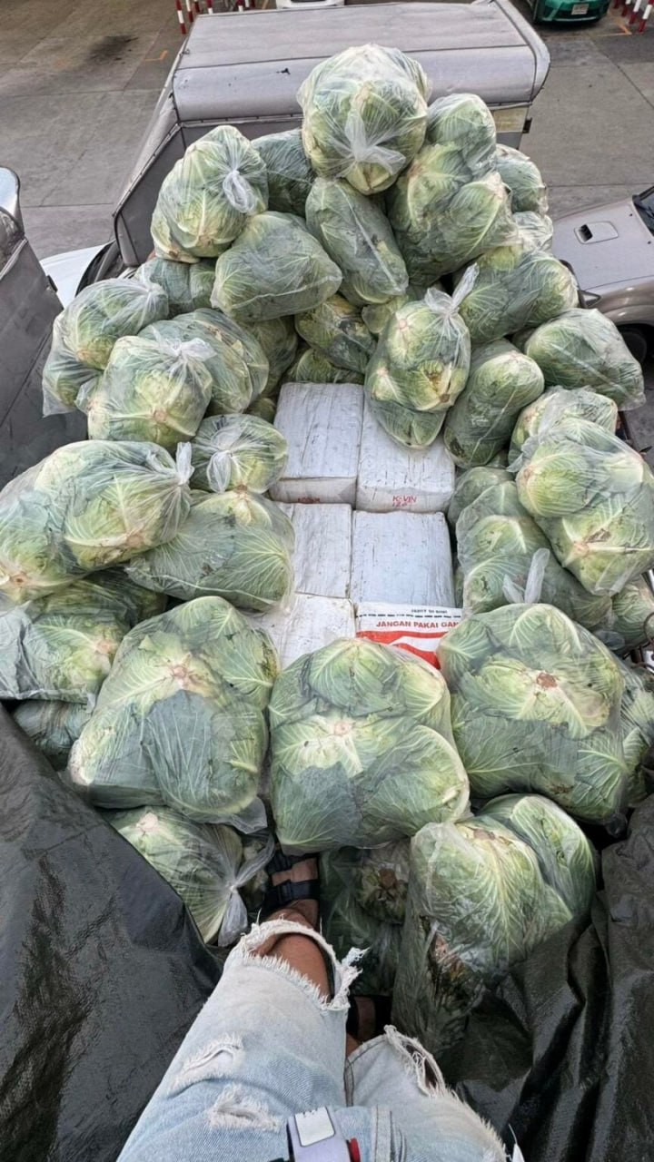 亚太警务报道｜伪装运菜车藏毒1.6吨 泰国警方截获惊天毒品走私案