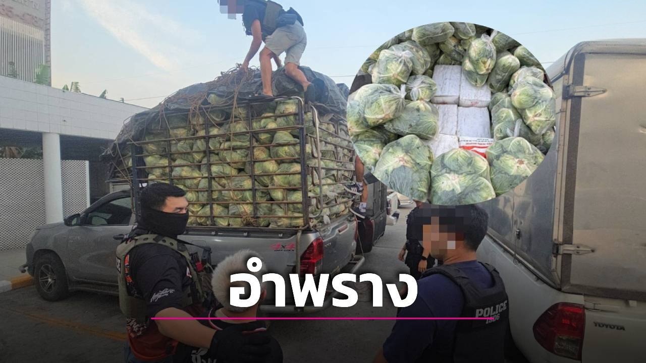亚太警务报道|伪装运菜车藏毒1.6吨 泰国警方截获惊天毒品走私案